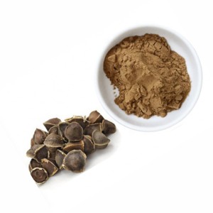 Poudre de graines de Moringa de qualité supérieure, 100% pure, poudre de graines de Moringa Oleifera, superaliment naturel pour la nutrition quotidienne et le soutien du bien-être - Product Image 4