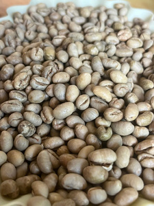 เมล็ดกาแฟโรบัสต้าสีขาว แบบเมล็ดเต็ม ขนาดเล็ก แบบคาลโรส อบแห้ง ดิบ ไม่ผ่านกระบวนการ ผลิตจากเวียดนาม อายุการเก็บรักษา 3 ปี GT7 ตงไห่ 25 กก. - Product Image 3