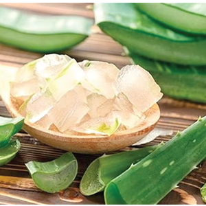 ALOE VERA <b>JELLY</b> DRINK WITH FRUIT FLAVOR MANGO LYCHEE OEM ODM MANUFACTURER - Product Image 4