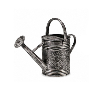 Arrosoir en métal noir avec poignée et bordure dorées, pour jardinage extérieur, finition peinte durable - Product Image 6