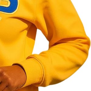 เสื้อฮู้ด Sigma Gamma Rho แบบกำหนดเอง เสื้อสเวตเชิ้ตผ้าฟลีซสำหรับชมรมนักศึกษากรีก เสื้อผ้าลำลองแนวสตรีทแฟชั่น เสื้อผ้าสำหรับวิทยาลัย ขายส่งแบบ OEM - Product Image 6