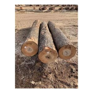 Bûches de bois dur de qualité industrielle, plaquettes de bois dur, bois durable, idéal pour la fabrication, la menuiserie et le traitement du bois - Product Image 3