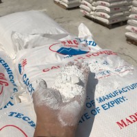 Kalsium Karbonat Caco3 Merek SHC Asli Vietnam 98% Kehalusannya 99,2% Kemurniannya Bubuk Super Halus Kelas Industri Umur Simpan 2 Tahun