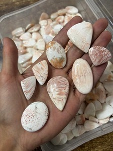 พลอยสกอเลไซต์สีชมพูธรรมชาติทรงหลังเบี้ย ใช้สำหรับทำเครื่องประดับเพื่อการบำบัดและด้านโหราศาสตร์ ในราคาที่เข้าถึงได้ - Product Image 1