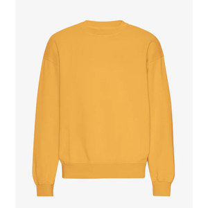 Sweat-shirt d'hiver pour homme, col rond, bleu marine, style urbain, effet vintage délavé à l'acide, en coton épais, chaud, style streetwear canadien - Product Image 6