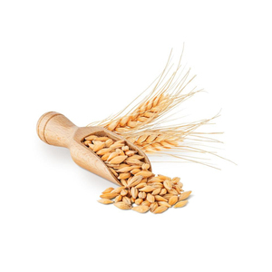 Cebada Maltada Seca para Animales, Grano de 3mm para Consumo - Product Image 4