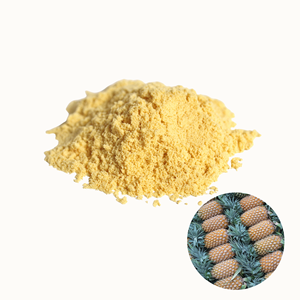 Fabricante de Vietnam Ofrece Precio de Fábrica, Polvo de Piel de Piña Seca Más Vendido, Empacado en Bolsas de Varios Tamaños - Product Image 1