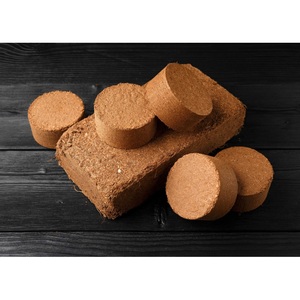 Tourbe de coco écologique pour paillage, rétention d'humidité et production agricole durable, disponible à un prix compétitif en provenance d'Inde - Product Image 4