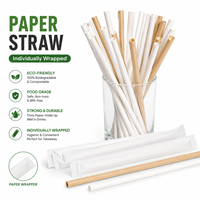 Pailles à boire en papier kraft emballées individuellement, biodégradables, écologiques, de qualité alimentaire, pour la vente en gros aux restaurants