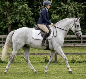 Vente en gros de tapis de selle matelassés de qualité supérieure pour chevaux |   Tapis de selle équestre respirant |   Tapis d'équitation pour le dressage et le saut d'obstacles - Product Image 3