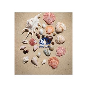 Miroir cosmétique grossissant lumineux BLUE LOTUS avec cadre en verre, forme ovale, finition argentée, pour présentation sur bureau - Product Image 1