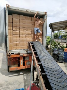 Mango Deshidratado Suave Ecológico, Sin Azúcar Añadido, Snack de Fruta Premium, Exportación a Granel, MÁS VENDIDO - Product Image 6