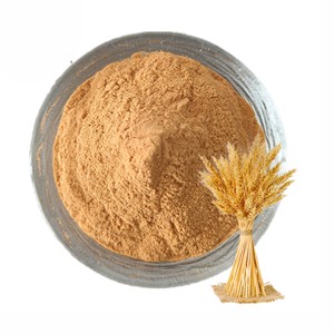Extrait de malt d'orge le plus vendu 10:1 en poudre, ingrédient 100% naturellement dérivé, fournisseur en vrac d'Inde - Product Image 4