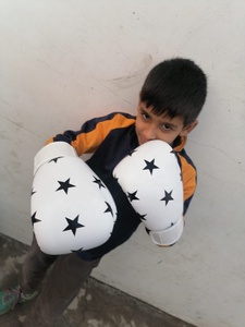 Guantes de Boxeo MMA Blancos de Cuero PU con Diseño de Serpiente, Logotipo Personalizado, Protección UV, Cierre de Velcro para Entrenamiento Profesional - Product Image 2