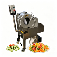 Automatische elektrische aardappel-, wortel-, radijs- en komkommer-snijmachine voor voedingsmiddelenfabrieken