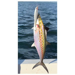 Pescado Caballito de Mar de Alta Calidad con Sabor Natural, Ideal para Freír, Asar y Cocinar en Horno - Product Image 1