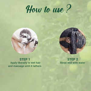 Shampooing et après-shampooing aux herbes vertes douces, formule cosmétique pour une texture lisse, une brillance éclatante, des cheveux sains et radieux - Product Image 4