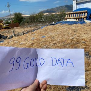 Mousse de mer violette du Vietnam sélectionnée pour la décoration culinaire créative et l'amélioration de la texture dans la préparation de sauces bio - Product Image 2