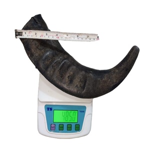 Corne de buffle d'eau 100% naturelle d'origine indienne Chew & Snack Friandises quotidiennes écologiques pour chiens Jouets à mâcher pour animaux de compagnie - Product Image 2