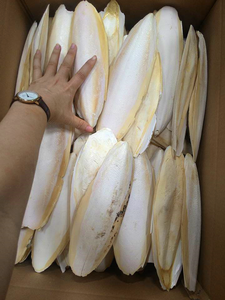 Os de Seiche Entiers Séchés Premium 20-40cm, Riche en Protéines, Fruits de Mer de 1ère Qualité du Vietnam, Durée de Conservation de 2 Ans, pour l'Entretien des Becs d'Oiseaux, Vente en Gros - Product Image 3