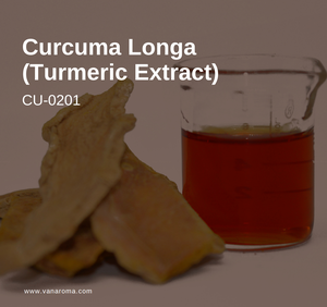 Curcuma Longa (Extracto de Cúrcuma) Aceite Esencial Puro y Natural (CU-0201) Aroma Van - Product Image 1