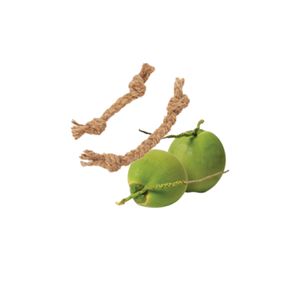 Pelota de Cuerda para Masticar para Perros, Hecha a Mano con Cáscara de Coco Natural de Alta Calidad, Ecológica, Lista para Enviar - Product Image 3