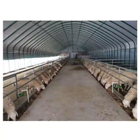 QCF017 Gallinero/Corral para Aves de Corral/Establo para Vacas/Corral para Ovejas de Estructura de Acero Prefabricada, Económico y de Fácil Instalación, Personalizable Según Se Solicite