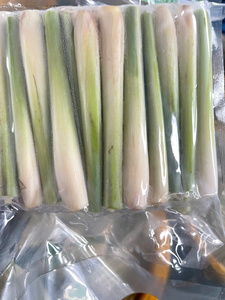 สมุนไพรตะไคร้สดสำหรับปรุงแต่งรสชาและปรุงอาหารใช้ในเวียดนาม - Product Image 5