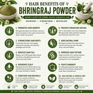 Bul Supply - Polvo de Bhringraj de Grado Cosmético, 250 g, 100 % Puro y Natural, Polvo de Hoja de Eclipta Alba para el Crecimiento del Cabello y Nutrición del Cuero Cabelludo - Product Image 2