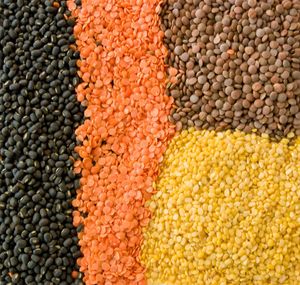 Lentejas Rojas Orgánicas Premium, Alto Contenido Proteico, Granos Naturales Saludables para Consumo Humano, Procesamiento de Alimentos, Suministro a Granel para Exportación - Product Image 1