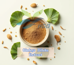 Fourniture directe d'usine HGO d'extrait de Ginkgo Biloba naturel pur (qualité alimentaire santé) 24% flavonoïdes (extrait standardisé) - Product Image 4
