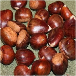 เมล็ดเกาลัดดิบสด ออร์แกนิก เกาลัดสดปอกเปลือก อบสุก ราคาถูก - Product Image 6