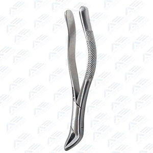 Surgical Extraction Forceps Factory Direct Prices Surgical Instruments Custom Logo Dental Root Extracting Elevators - Product Image 2