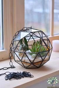 Maceta de cristal transparente en forma de cubo, pequeña, negra, para mesa, soporte para plantas de aire, caja expositora, maceta para suculentas, musgo, flores, contenedores DIY - Product Image 6