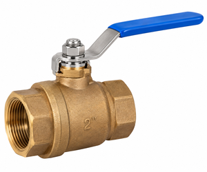 Robinet à bille en bronze de 2 pouces, axe anti-éclatement en acier inoxydable, extrémité filetée BSP, commande à levier, 300 PSIG - Product Image 1