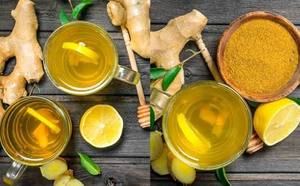 Té de jengibre salvaje: Poder herbal crudo y sin refinar que ofrece un aroma vigorizante, notas terrosas profundas y vitalidad natural reconfortante. - Product Image 6