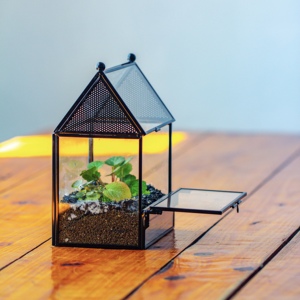Wholesale Modern Black Metal <b>Frame</b> House Shape Mini Glass <b>Plants</b> Terrarium Tabletop Vase - Product Image 3