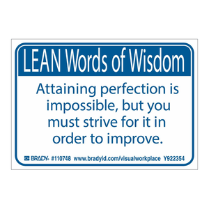 สติกเกอร์สร้างแรงบันดาลใจ Brady LEAN สำหรับการพัฒนาอย่างต่อเนื่อง ทนทาน กันน้ำ ผลิตจาก PP  แบบมีกาวในตัว ผิวด้าน ขนาดแกน 25 มม. - Product Image 2