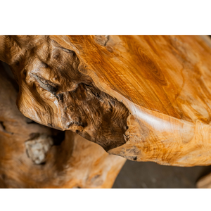 Mesa de Centro ARTERRA Premium, Rústica, de Raíz de Teca Natural, Hecha a Mano, Artesanal, Antigua, Duradera, para Sala de Estar, Mueble de Lujo para el Hogar CT-002 - Product Image 4