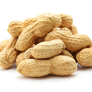 Arachides de qualité supérieure en gros, vente en vrac, prêtes à être expédiées, qualité supérieure pour l'exportation - Product Image 2