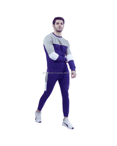 Ensemble de vêtements de sport d'hiver décontractés pour hommes personnalisés par OEM joggeurs à capuche respirants vêtements de sport grande taille 2 pièces décontracté écologique solide - Product Image 2