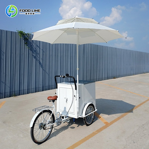 <span class=keywords><strong>Vélo</strong></span> à crème glacée solaire avec congélateur 12V DC, fournisseurs de chariots à crème glacée - Product Image 3