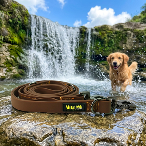 Correa de Adiestramiento para Perros, Multifuncional, de PVC, Resistente al Agua, Ecológica, con 2 Ganchos de Seguridad, Diseño Clásico TW - Product Image 4