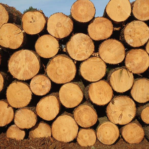 Bois d'Okoumé Naturel en Gros pour les Marchés du Bois, les Fabricants et Distributeurs de Meubles - Product Image 5