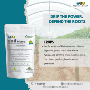 Biofertilizante de suelo rico en nutrientes para el crecimiento de raíces que mejora la salud del suelo - Product Image 6