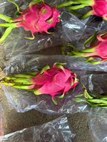 Verse Dragon Fruit Premium Kwaliteit Indiase Boerderij Oogst 18 Maanden Houdbaarheid voor Groothandel en Detailhandel Dagelijks Leverbaar