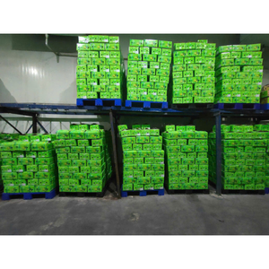 Citron vert frais vietnamien sans pépins, agrumes naturels pour supermarchés, acheteurs de services alimentaires, magasins de jus et importateurs - Product Image 6
