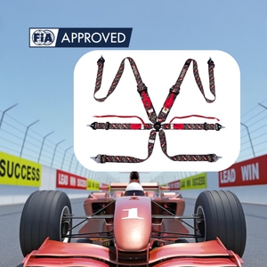 Harnais de sport automobile professionnel FIA 8853 2016 SPORT PLUS 5 6 points de fixation OEM ODM Logo personnalisé Couleur Vente en gros Fabricant - Product Image 1