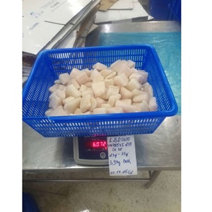 ปลาปังกัสิอุสแบบแช่แข็ง IQF ขนาด 23 กรัม-35 กรัม ความยาว 20-40 มม. จำหน่ายโดย VHFood Supplier แหล่งผลิตเวียดนาม ปลาแช่แข็งแบบเป็นชิ้น - Product Image 6