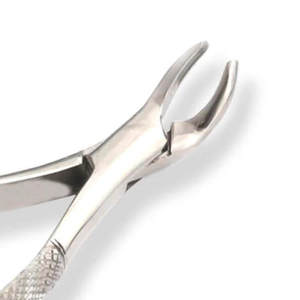 Pinzas Manuales de Acero Inoxidable para Extracción de Dientes # Instrumento Quirúrgico Dental 6S para Molares Superiores e Inferiores con Empuñadura Ergonómica - Product Image 4